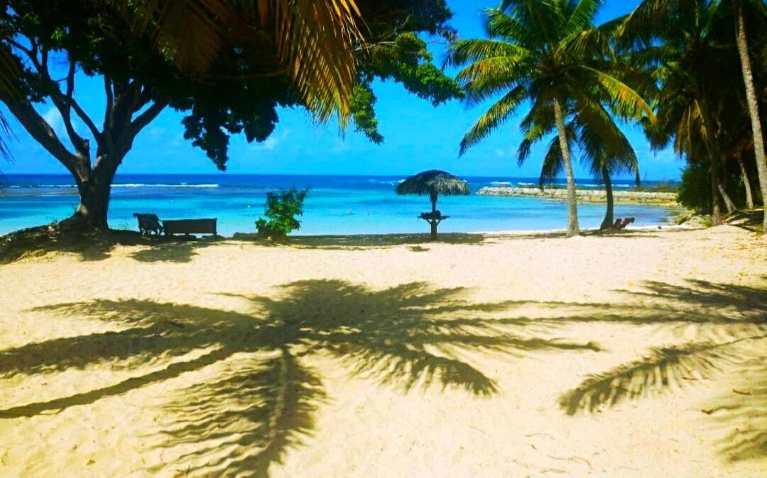 Le Ti'Paradise Anse Des Rochers Belle-Allee Exterior photo
